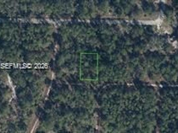 3215 Delafield , Lake Placid, FL 33852