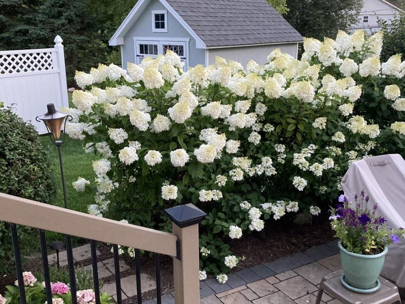 3395 Reed Point Drive, Hilliard, OH 43026 Photo 29