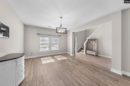 120 Plymouth Pass Drive photo 4