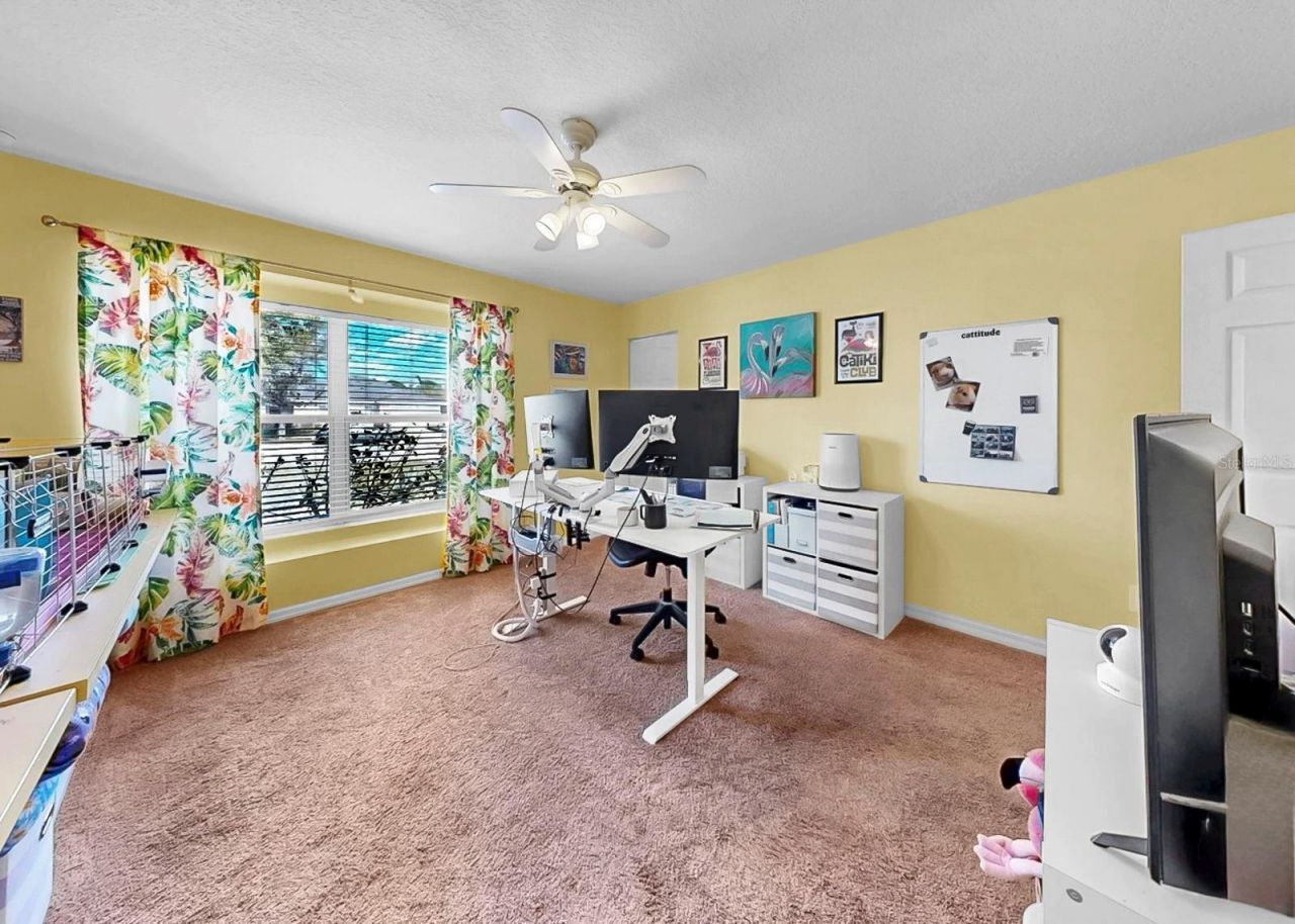 5419 Hammock View Lane, Apollo Beach, FL 33572 Photo