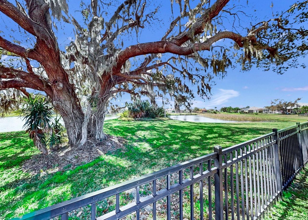 5419 Hammock View Lane, Apollo Beach, FL 33572 Photo