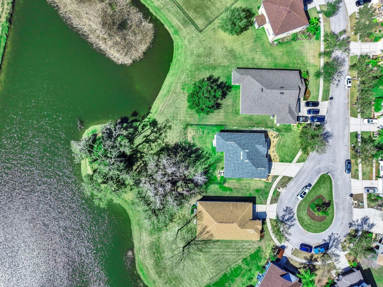 5419 Hammock View Lane, Apollo Beach, FL 33572 Photo