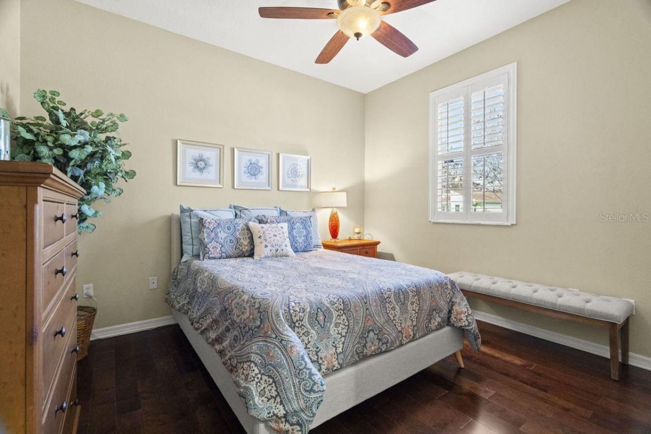 2822 Gloria Court, Clearwater, FL 33761 Photo