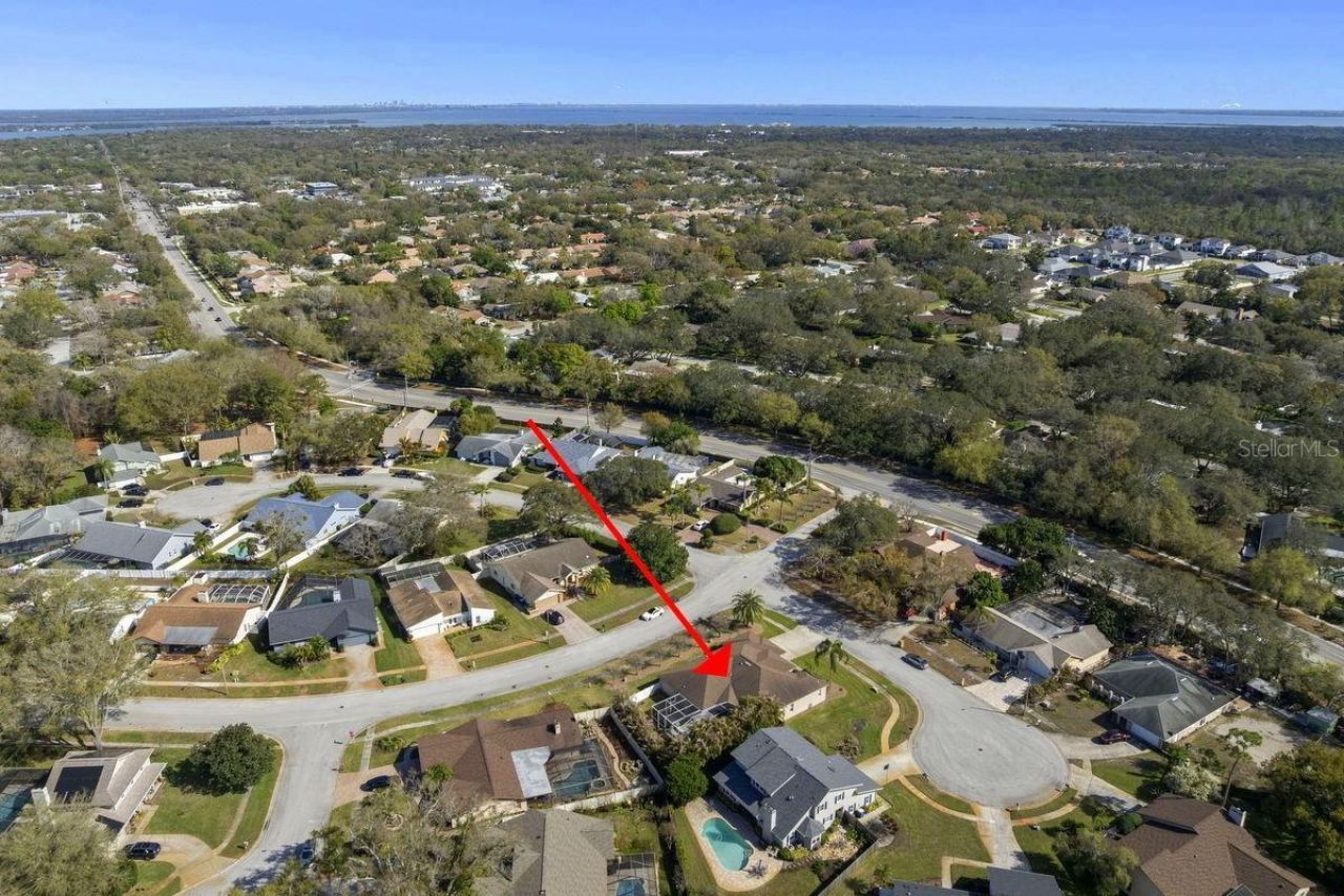 2822 Gloria Court, Clearwater, FL 33761 Photo