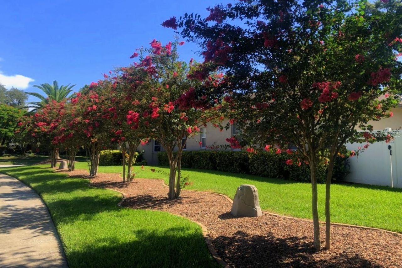 2822 Gloria Court, Clearwater, FL 33761 Photo