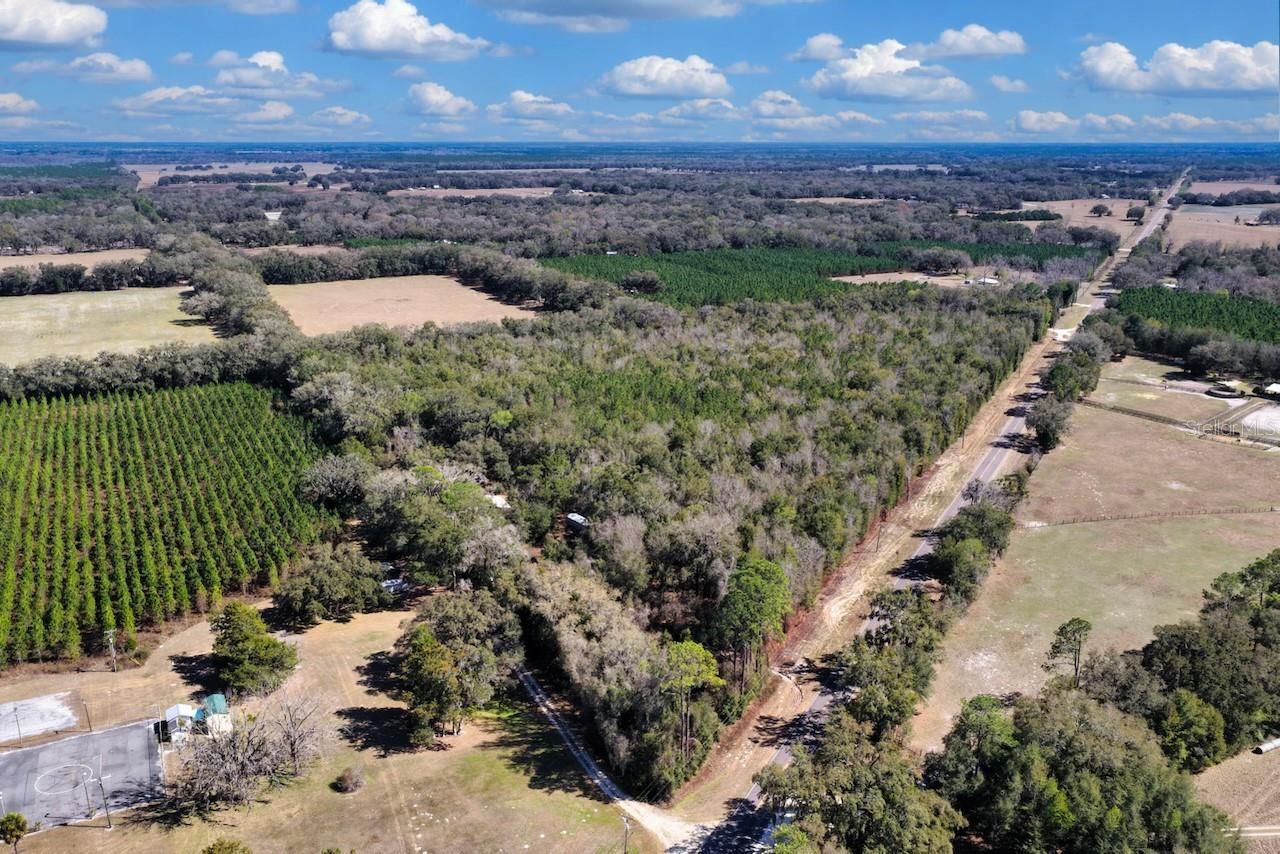 Cr 339 Nw, Trenton, FL 32693 Photo