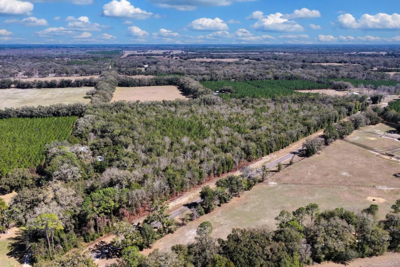 Cr 339 Nw, Trenton, FL 32693 Photo