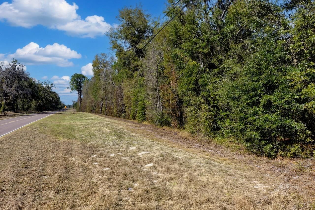 Cr 339 Nw, Trenton, FL 32693 Photo