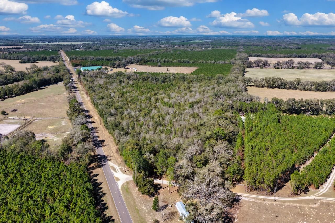 Cr 339 Nw, Trenton, FL 32693 Photo