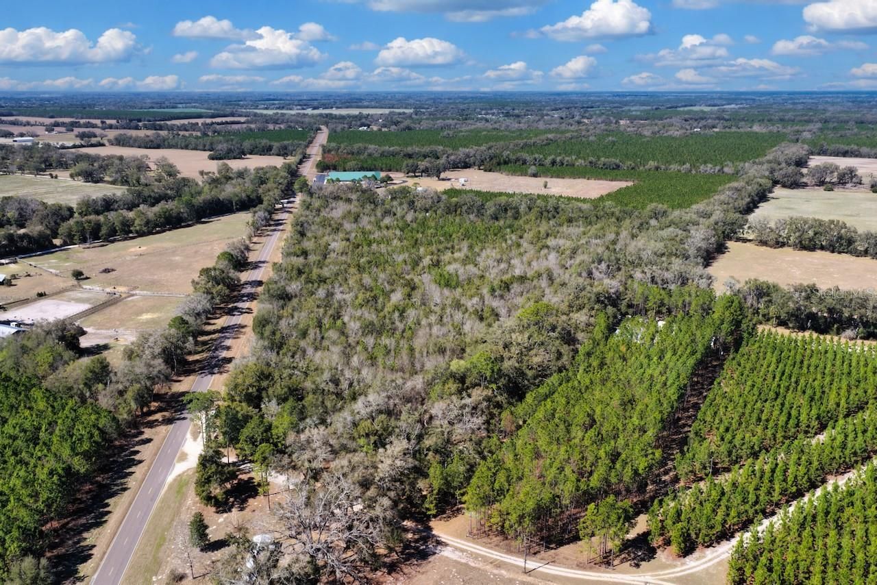 Cr 339 Nw, Trenton, FL 32693 Photo