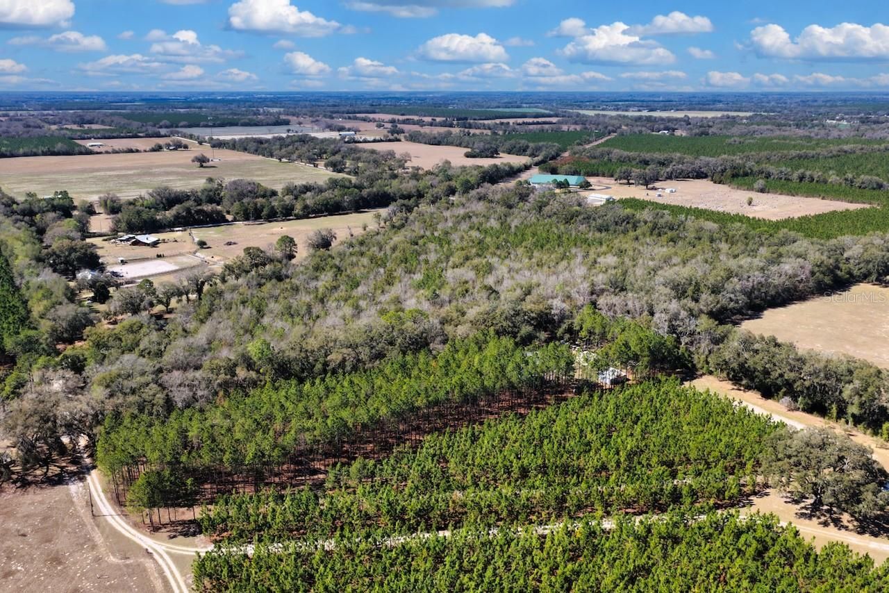 Cr 339 Nw, Trenton, FL 32693 Photo