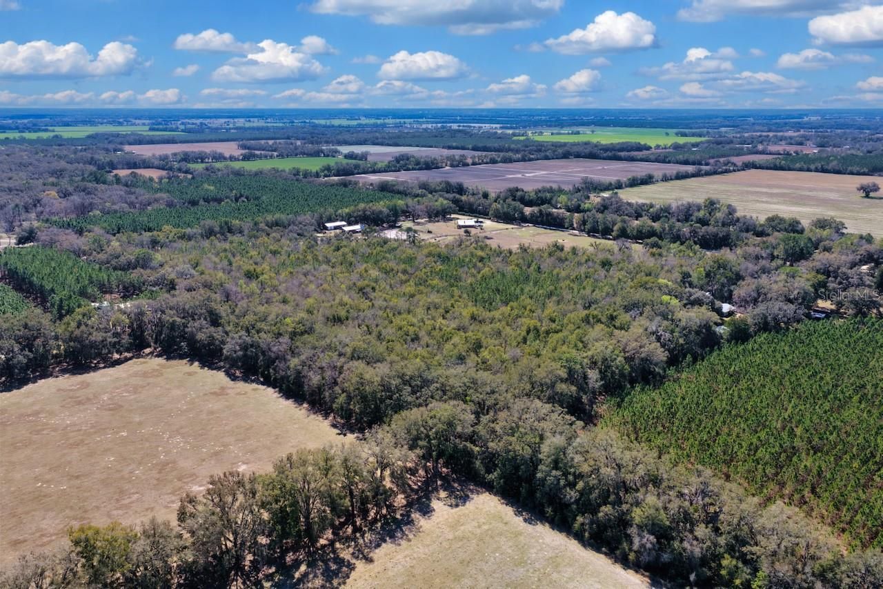 Cr 339 Nw, Trenton, FL 32693 Photo