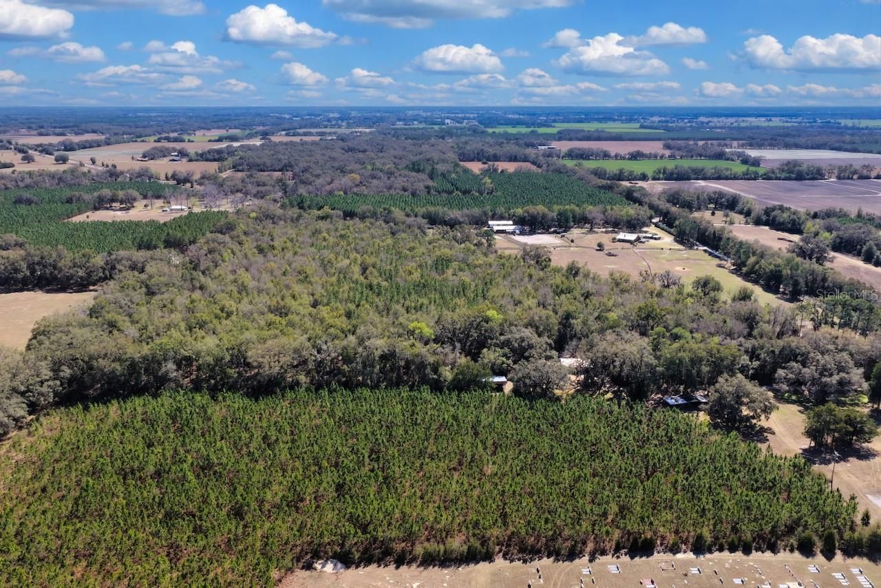 Cr 339 Nw, Trenton, FL 32693 Photo