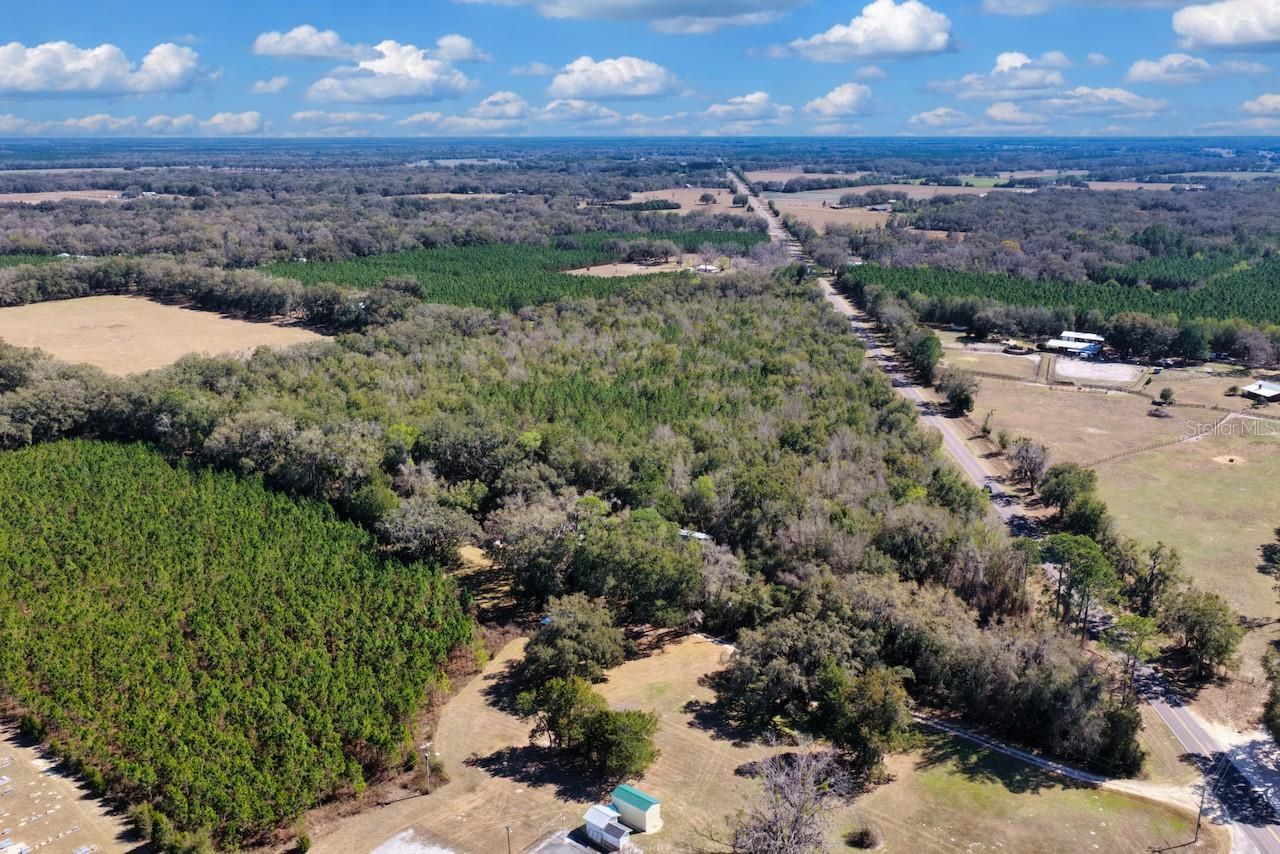 Cr 339 Nw, Trenton, FL 32693 Photo