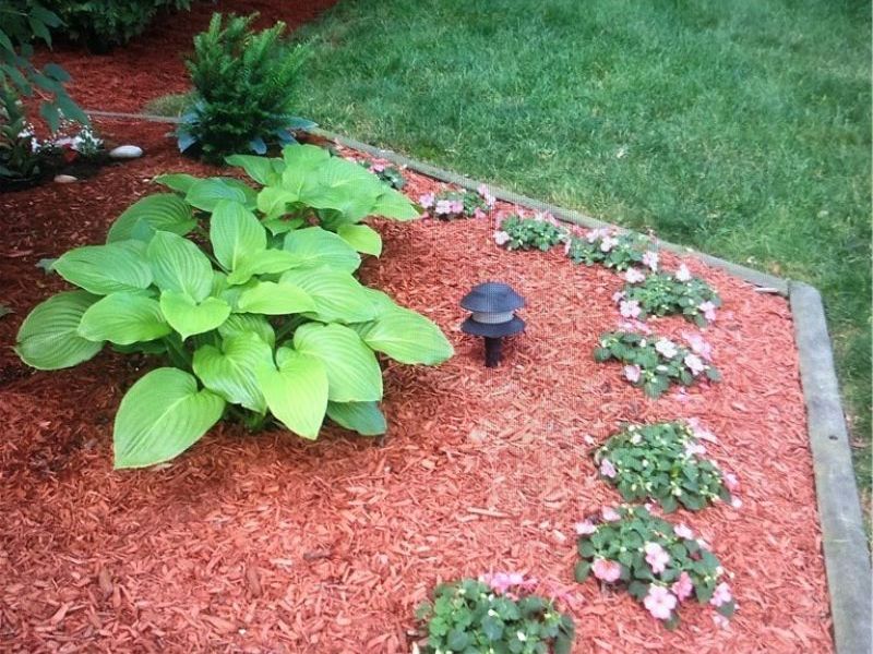 3971 Wooster Road, Fairview Park, OH 44126 Photo 30