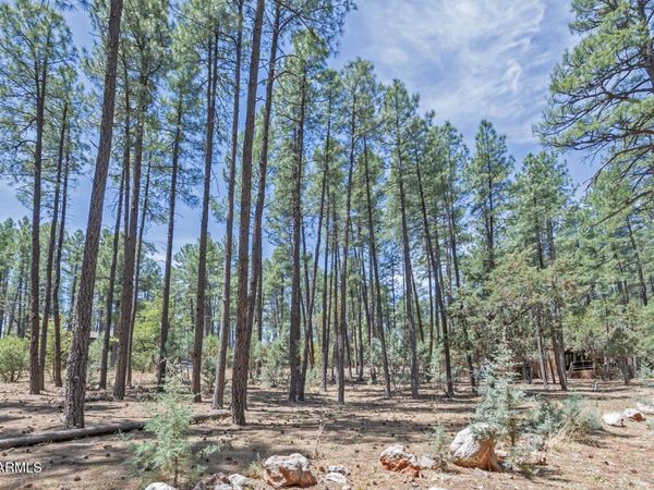 lot 138 Marcy Way, Unit 138, Pine, AZ 85544