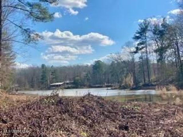 Lot 11 Turkey Creek Road, Natchez, MS 39120