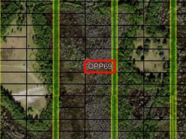 0 Old Grade Rd, Polk City, FL 33868