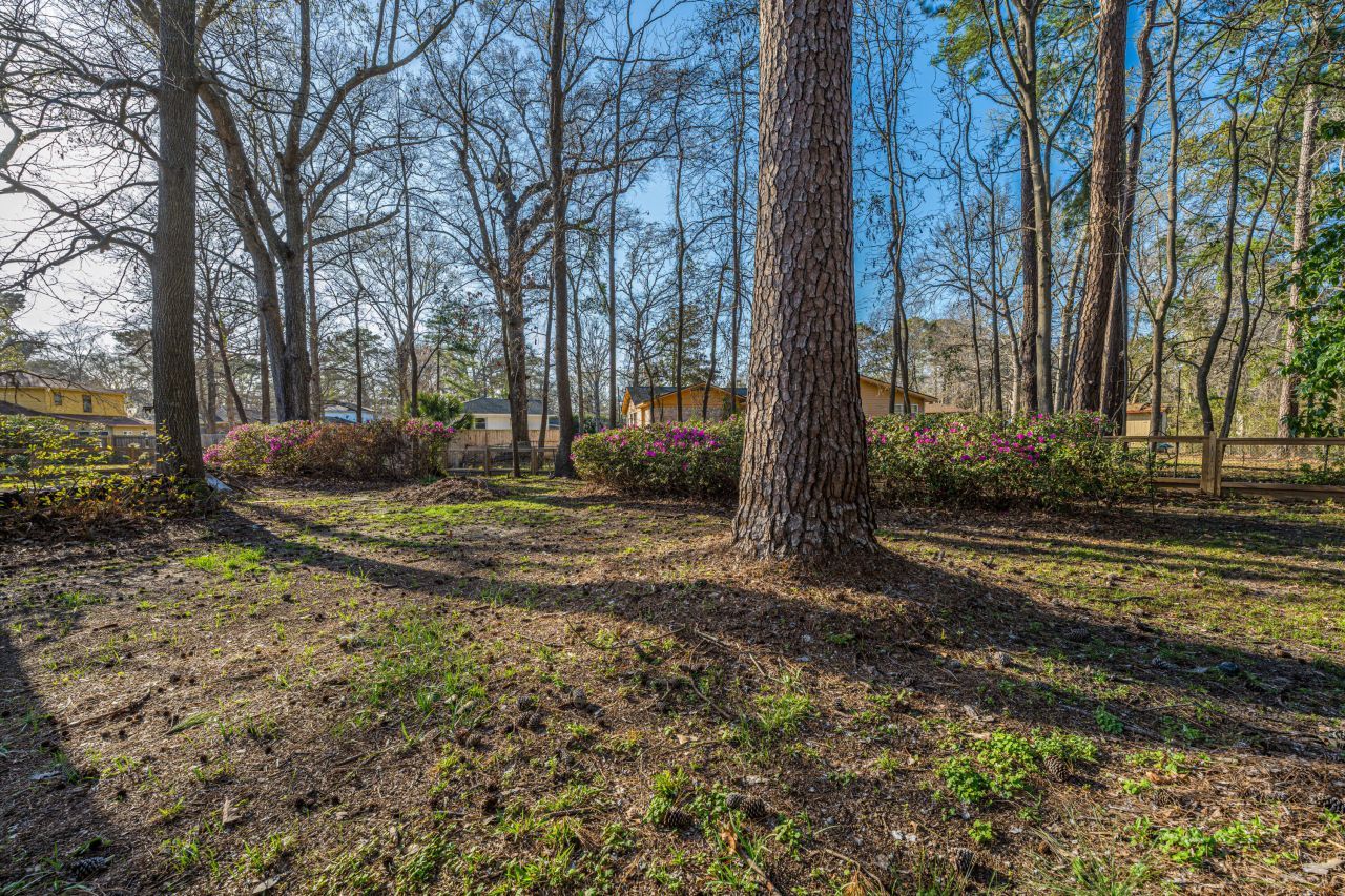 2012 Woodcliff Street Photo 35