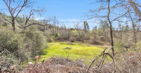 10121 Valley Dr, Rough and Ready, CA 95975 Photo