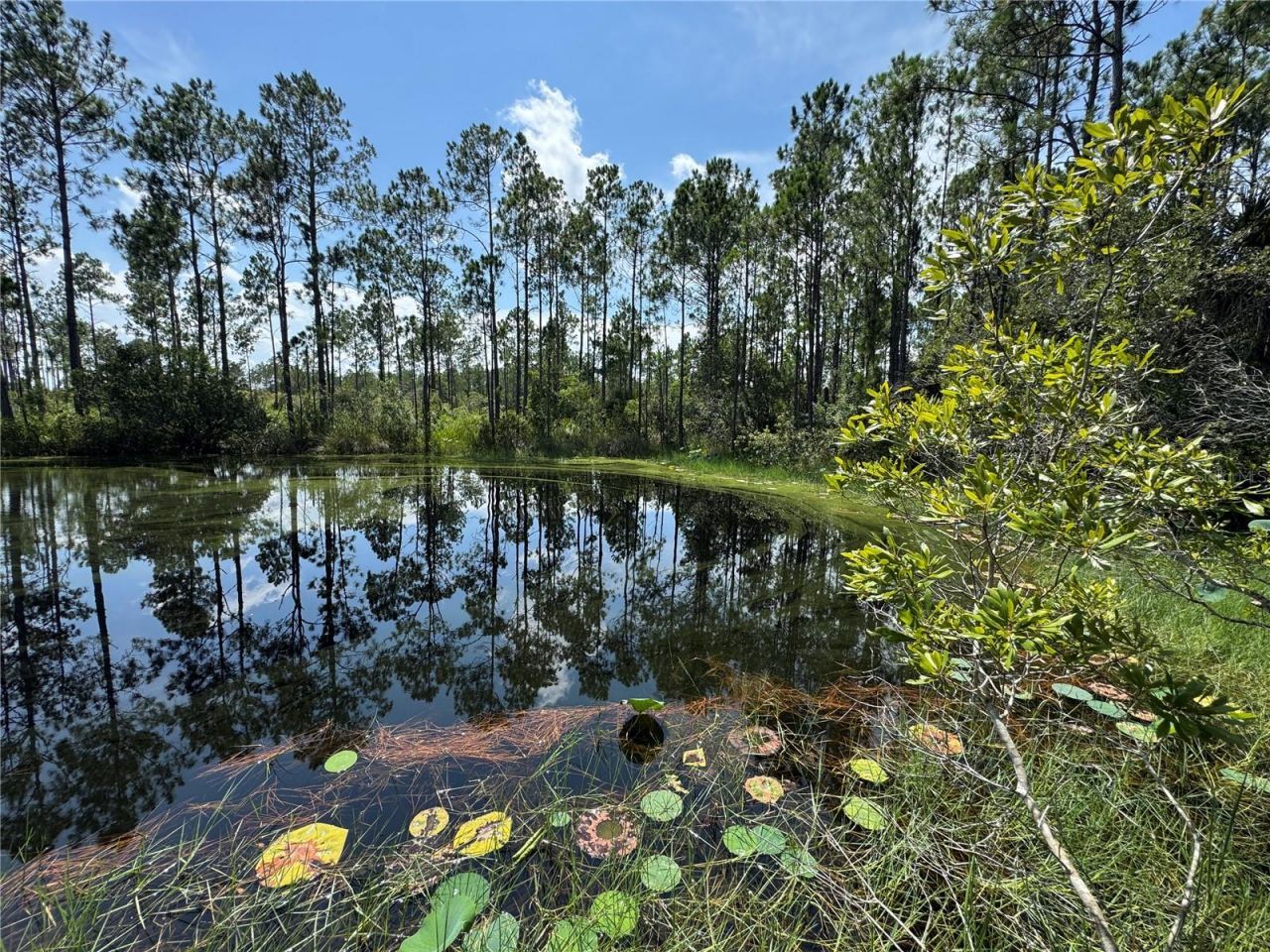 4300 Justa Road , Mims, FL 32754 Photo