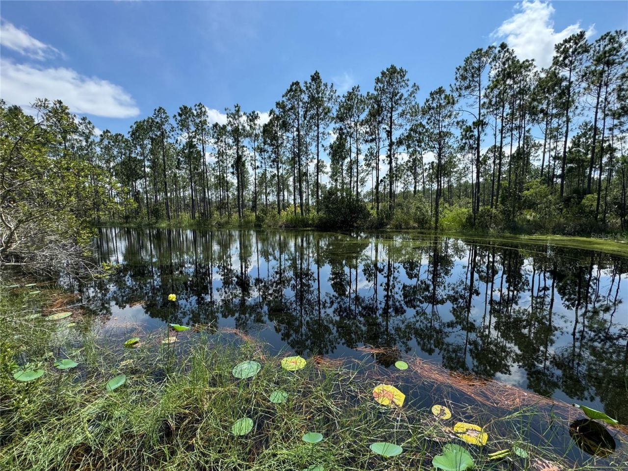 4300 Justa Road , Mims, FL 32754 Photo