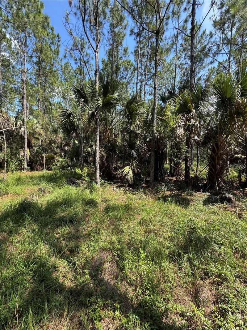 4300 Justa Road , Mims, FL 32754 Photo