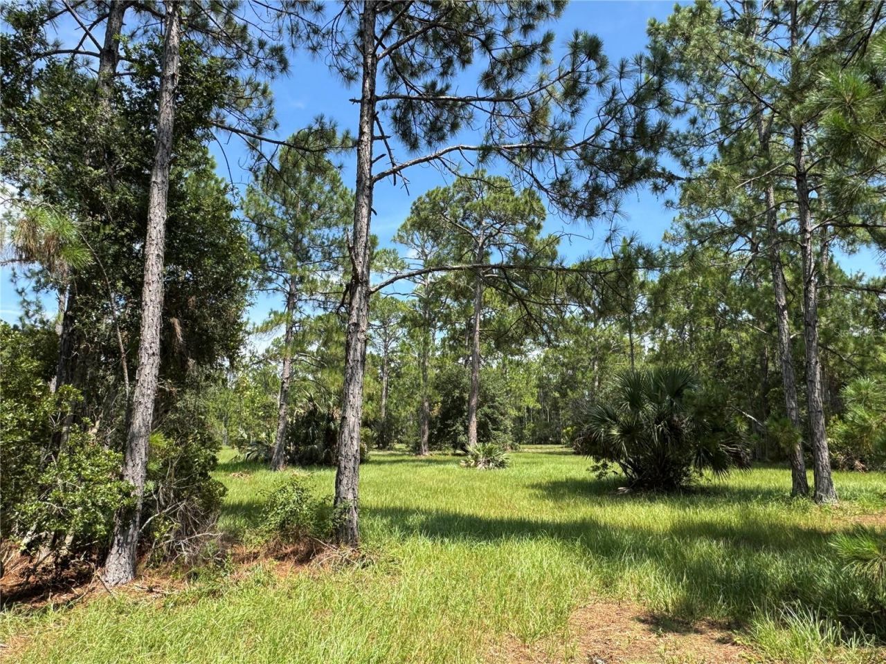 4300 Justa Road , Mims, FL 32754 Photo