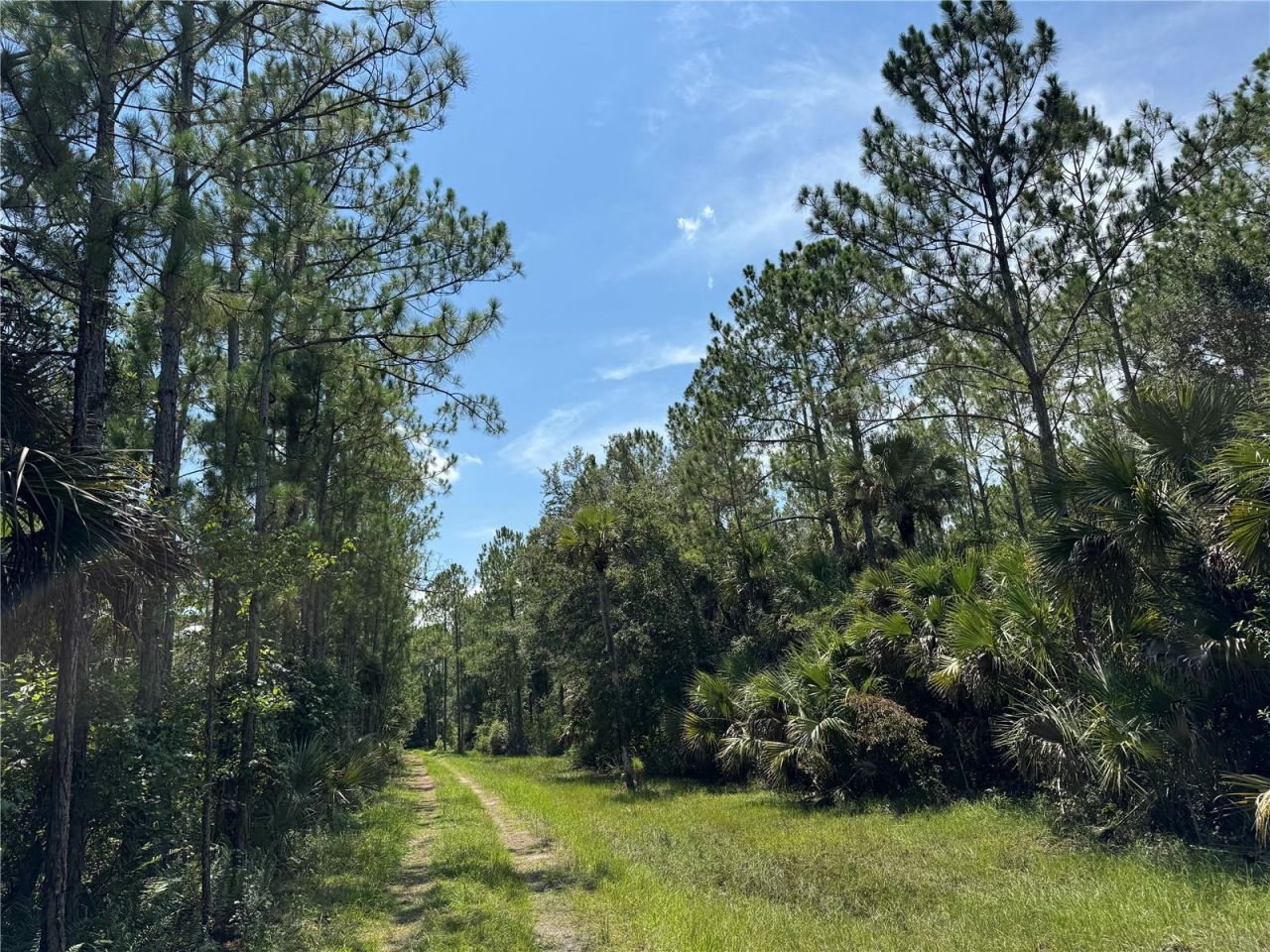 4300 Justa Road , Mims, FL 32754 Photo