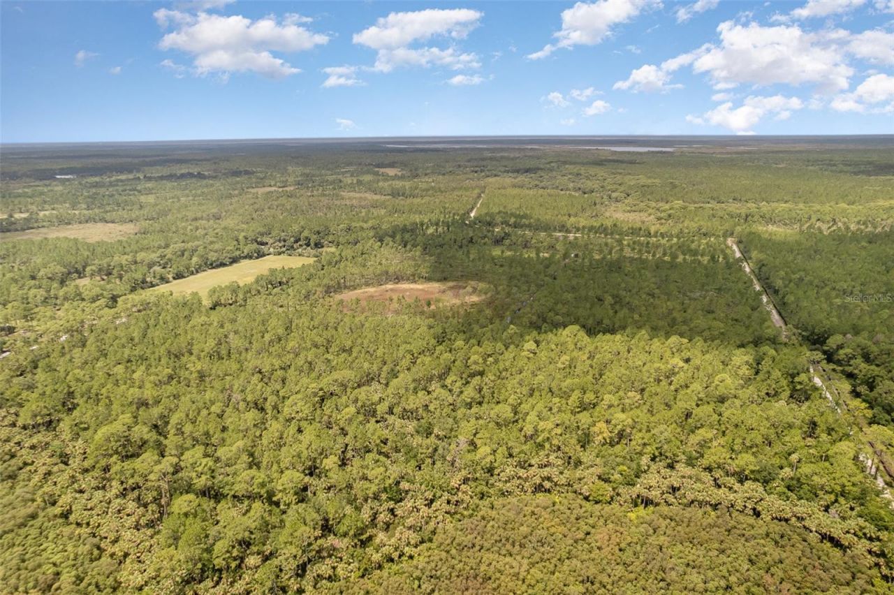 4300 Justa Road , Mims, FL 32754 Photo