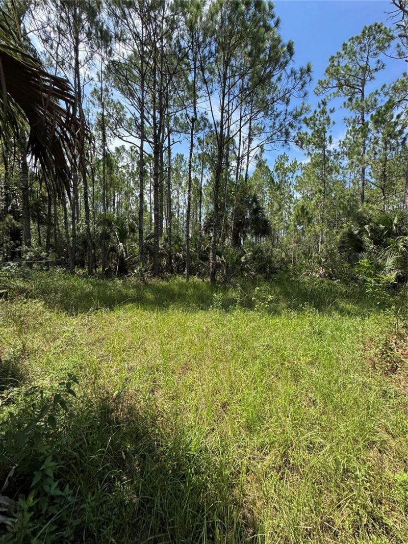 4300 Justa Road , Mims, FL 32754 Photo