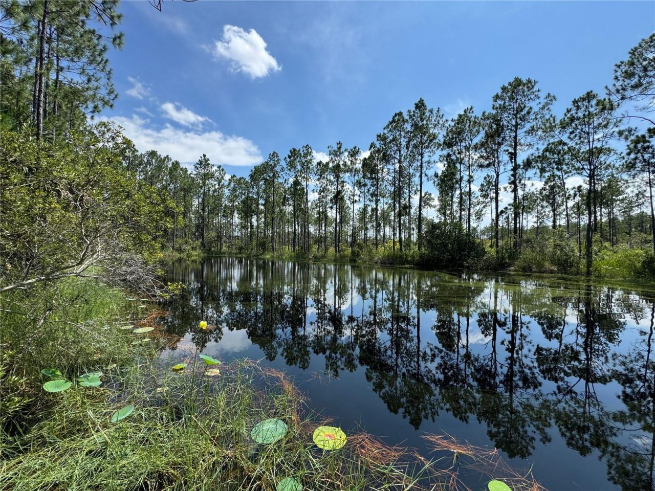 4300 Justa Road , Mims, FL 32754 Photo