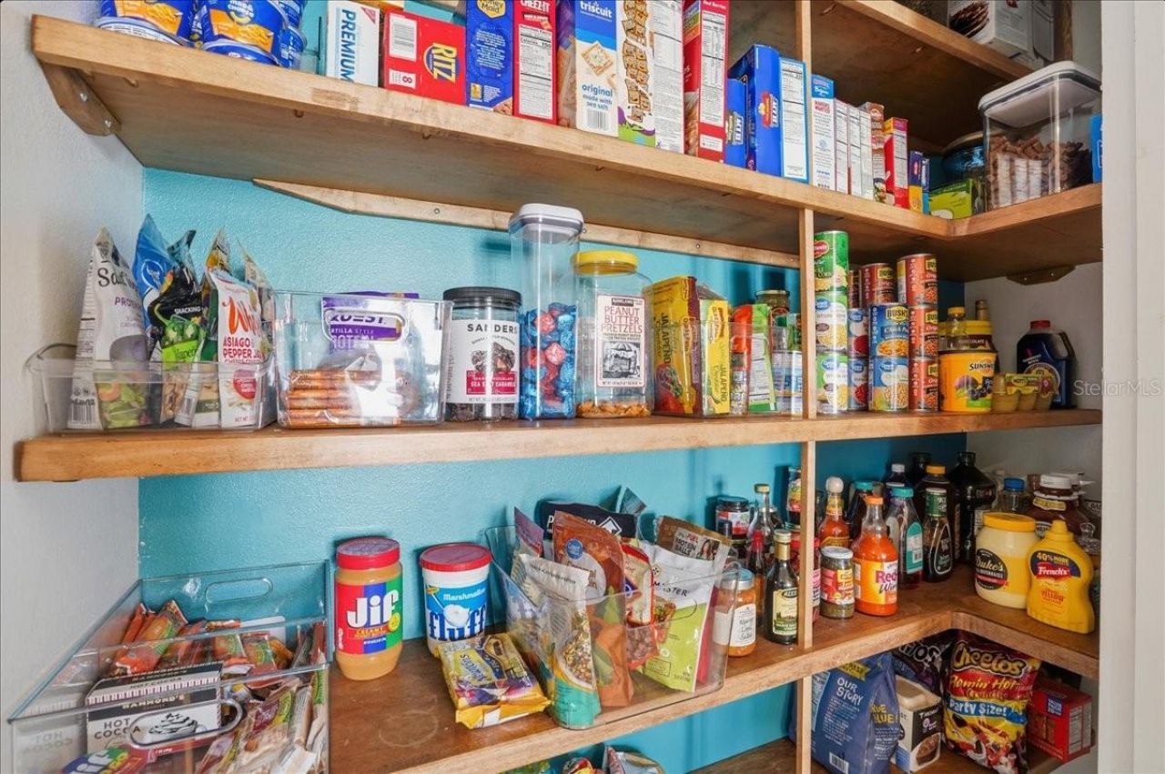 11547 Walden Loop, Parrish, FL 34219 Photo