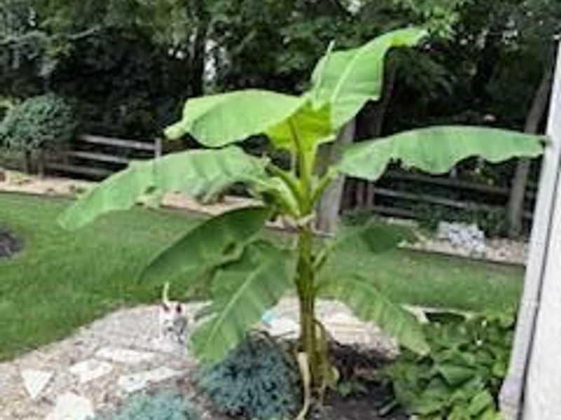 876 John Michael Way, Columbus, OH 43235 Photo 54