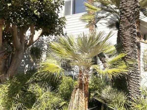 601 Coeur D Alene Avenue , Unit 2, Venice, CA 90291