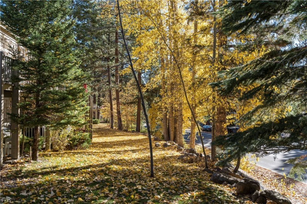 810 Alder Avenue, Unit 71, Incline Village, NV 89451 Photo