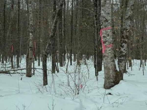 Lot 1 Willow Way, Jefferson, ME 04348
