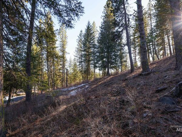 Lot 7 Camas Dr, New Meadows, ID 83654