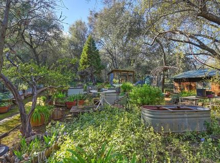 4651 Pilot Creek Ln, Pilot Hill, CA 95664 Photo