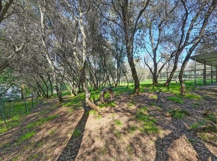 4651 Pilot Creek Ln, Pilot Hill, CA 95664 Photo