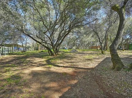 4651 Pilot Creek Ln, Pilot Hill, CA 95664 Photo