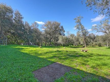 4651 Pilot Creek Ln, Pilot Hill, CA 95664 Photo