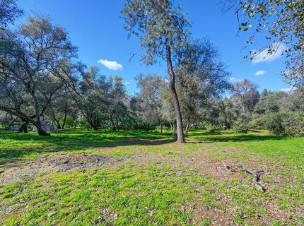 4651 Pilot Creek Ln, Pilot Hill, CA 95664 Photo