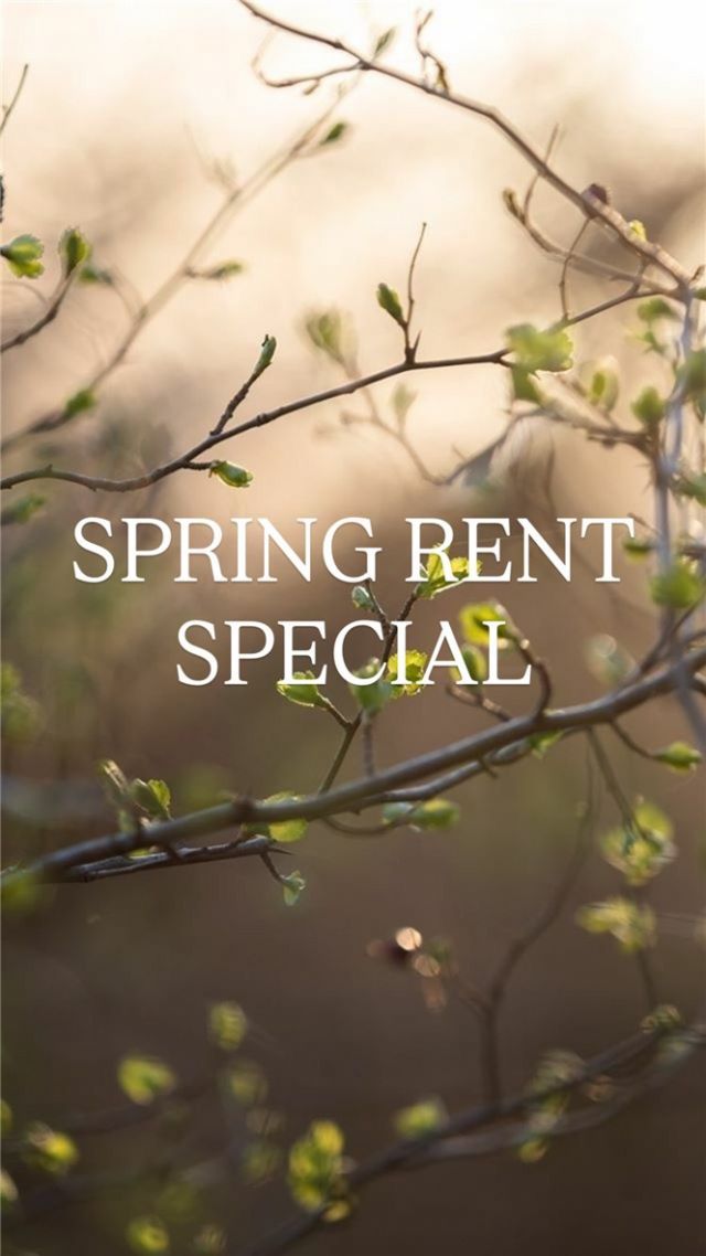 567 Cresswell Drive, Fayetteville, AR 72704 Main Photo