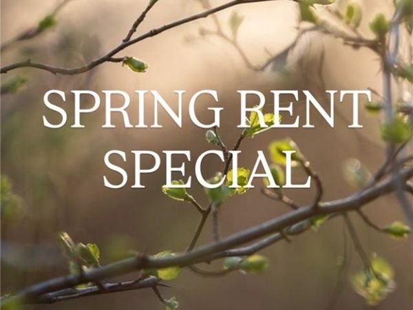 567 Cresswell Drive, Fayetteville, AR 72704