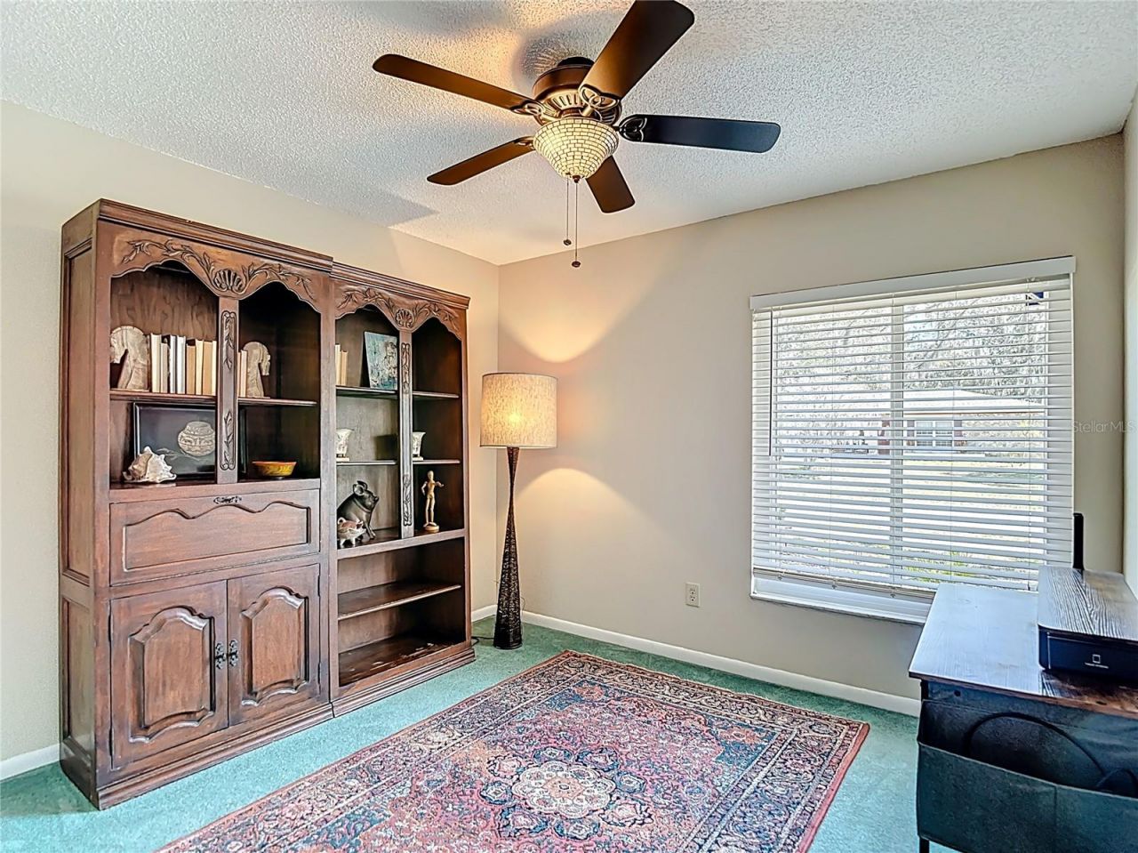 9416 Bellhaven Street, Temple Terrace, FL 33637 Photo