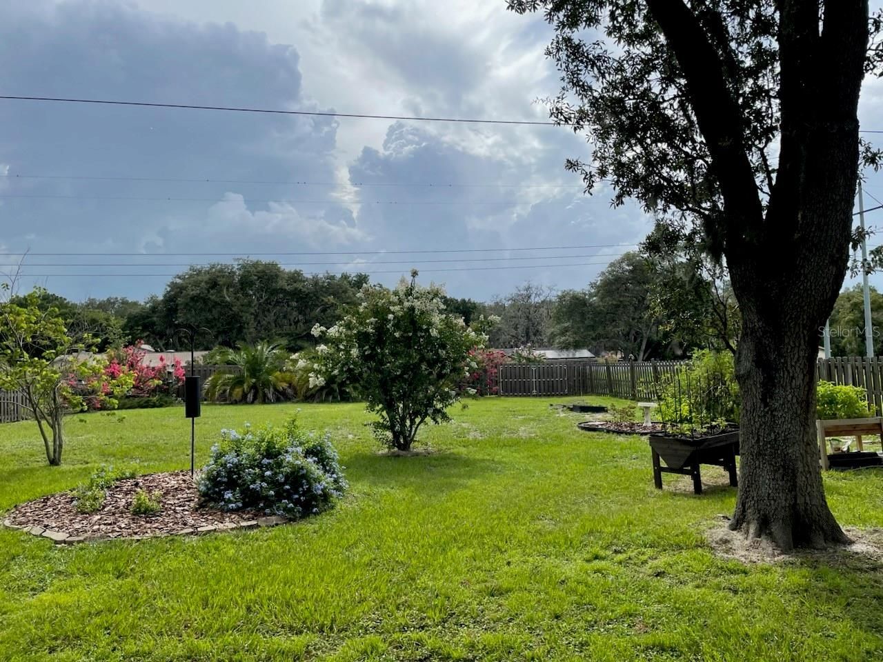 9416 Bellhaven Street, Temple Terrace, FL 33637 Photo