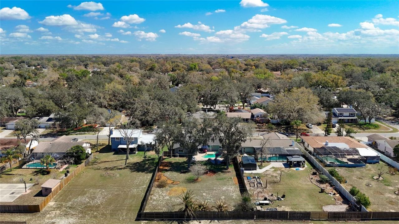 9416 Bellhaven Street, Temple Terrace, FL 33637 Photo