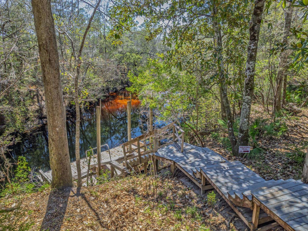 195 Persimmon Road, Sopchoppy, FL 32358 Photo