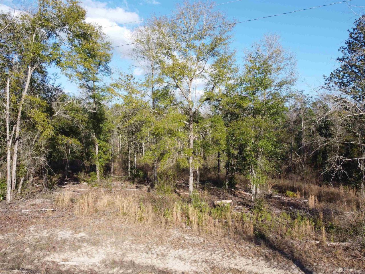 Xxx NE E Sr 20, Hosford, FL 32334 Photo